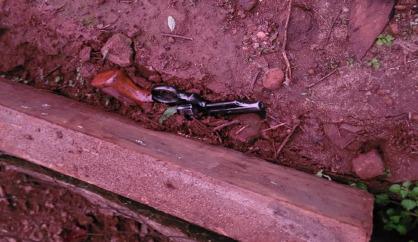 WhatsApp Image 2022-06-18 at 11.41.56 AM