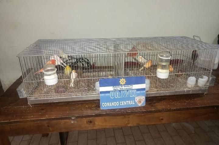 WhatsApp Image 2023-05-10 at 19.51.35