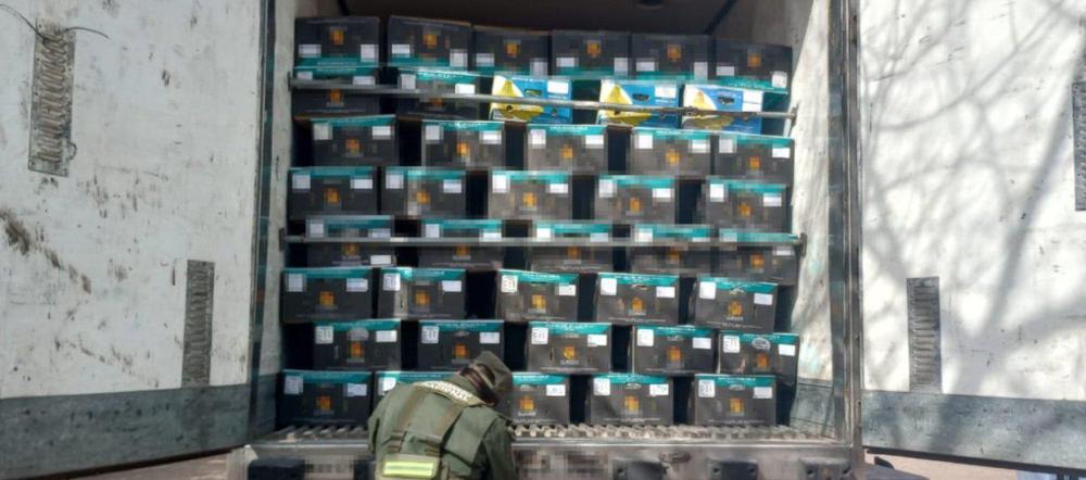 Ocultaba más de una tonelada de hojas de coca entre cargamento de bananas (6)