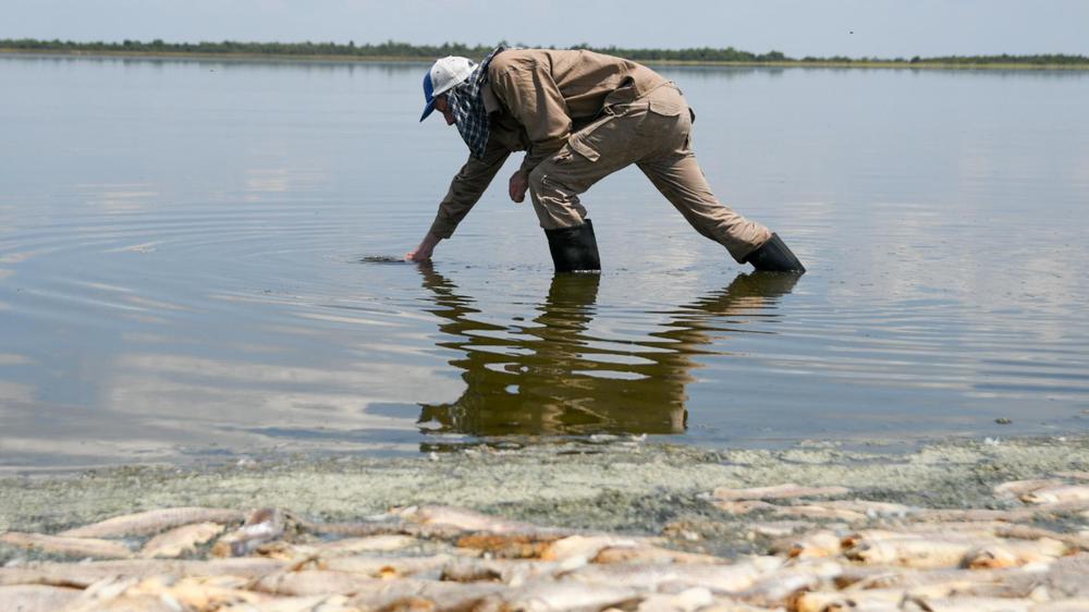 2023-01-25NID_277156O_2