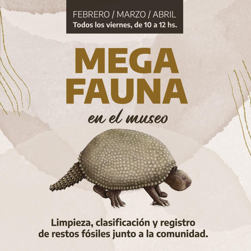 mega fauna Puerto1
