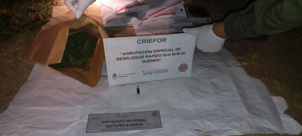 19 plantas marihuana Rosario (2)