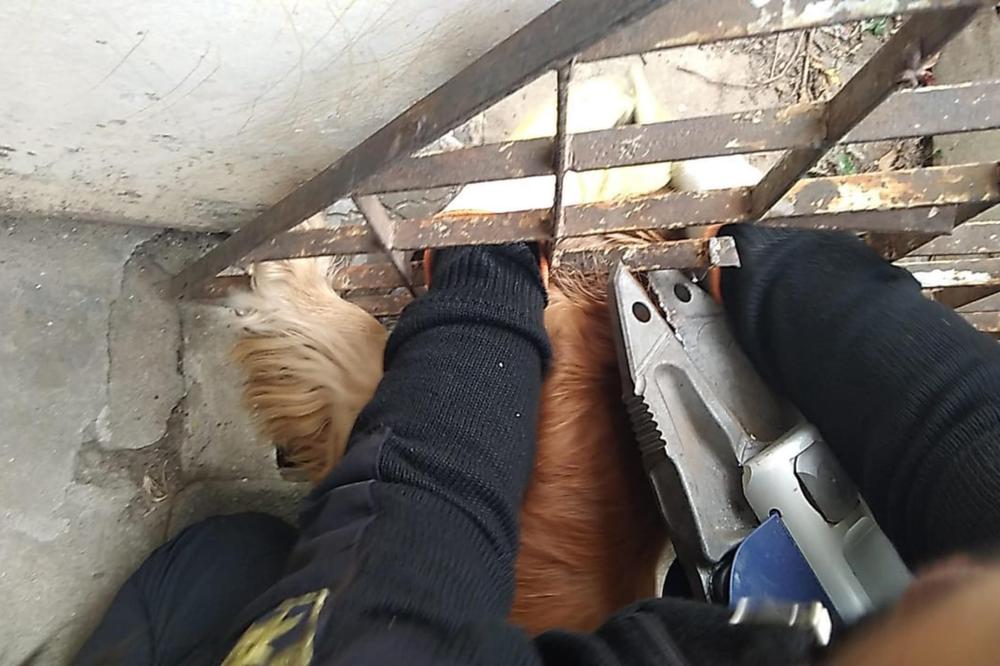 InShot_20220601_141425917