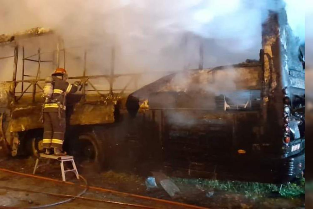 WhatsApp Image 2022-05-01 at 5.19.02 PM (1)