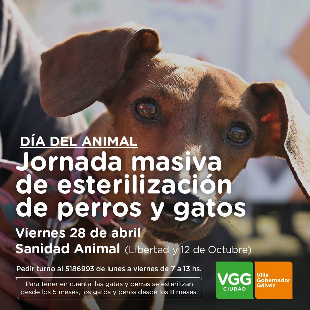 WhatsApp Image 2023-04-20 at 11.24.12 (1)