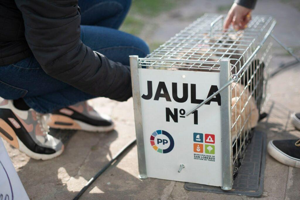 castracion3-1024x683