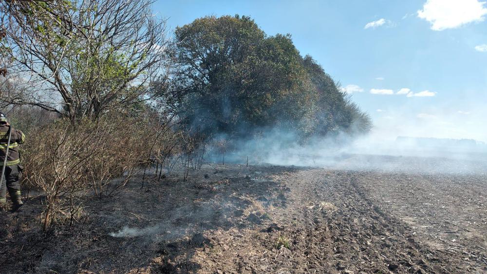 WhatsApp Image 2022-09-10 at 09.00.57