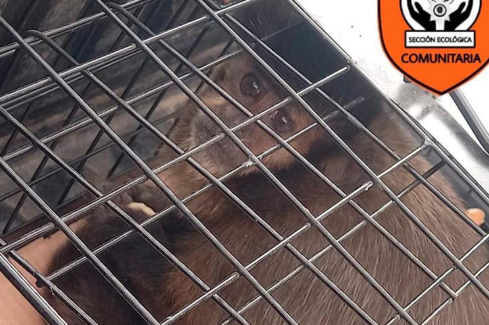 WhatsApp Image 2022-06-09 at 7.05.59 AM