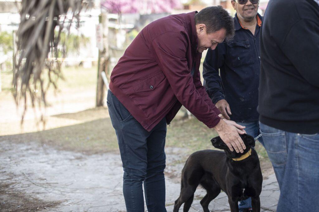 vacunacion perros gatos4