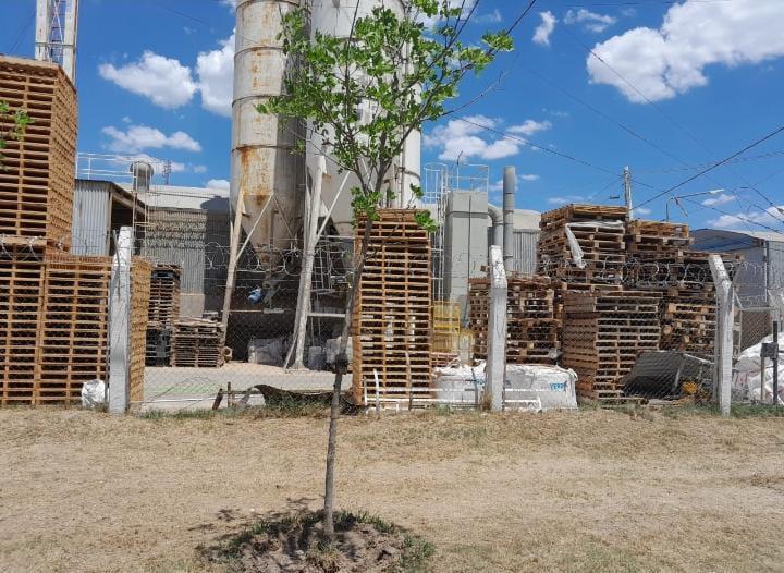 WhatsApp Image 2023-01-08 at 18.50.13