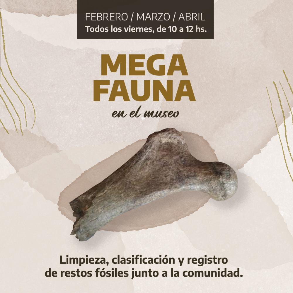 mega fauna Puerto