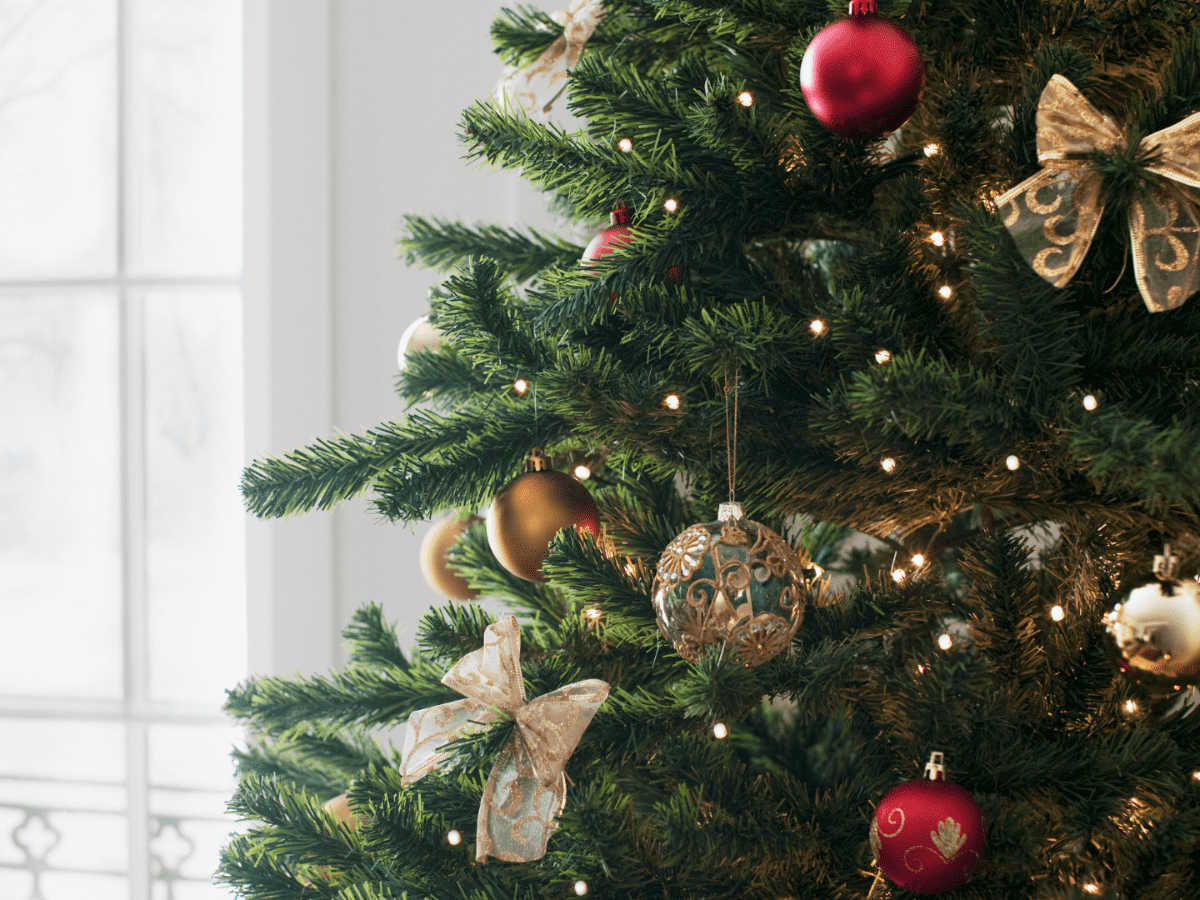 arbol_navidexo_1.png_675828847