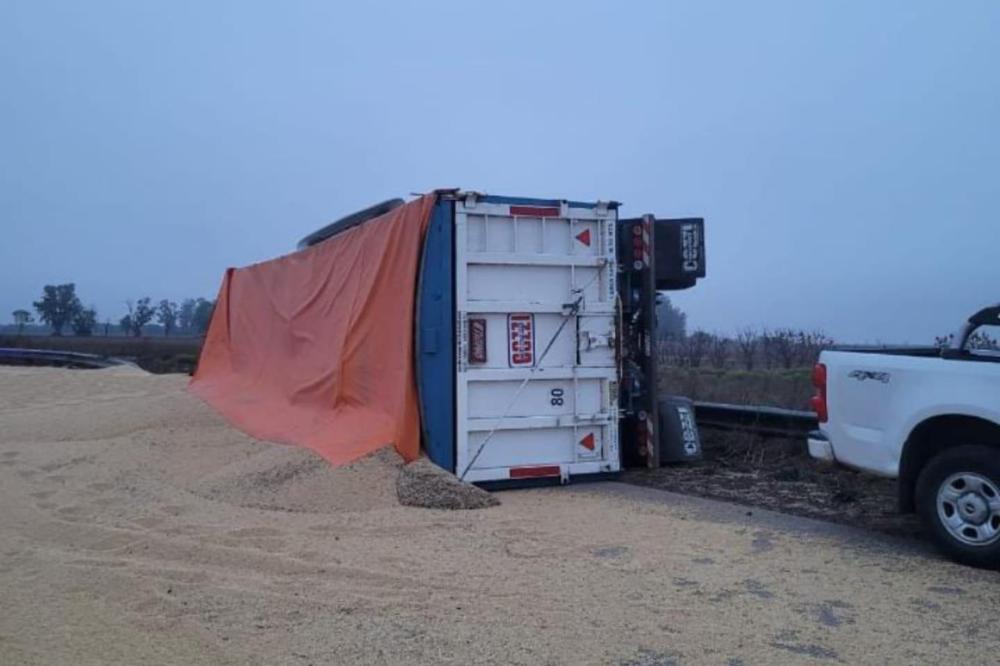 WhatsApp Image 2022-09-19 at 10.19.05