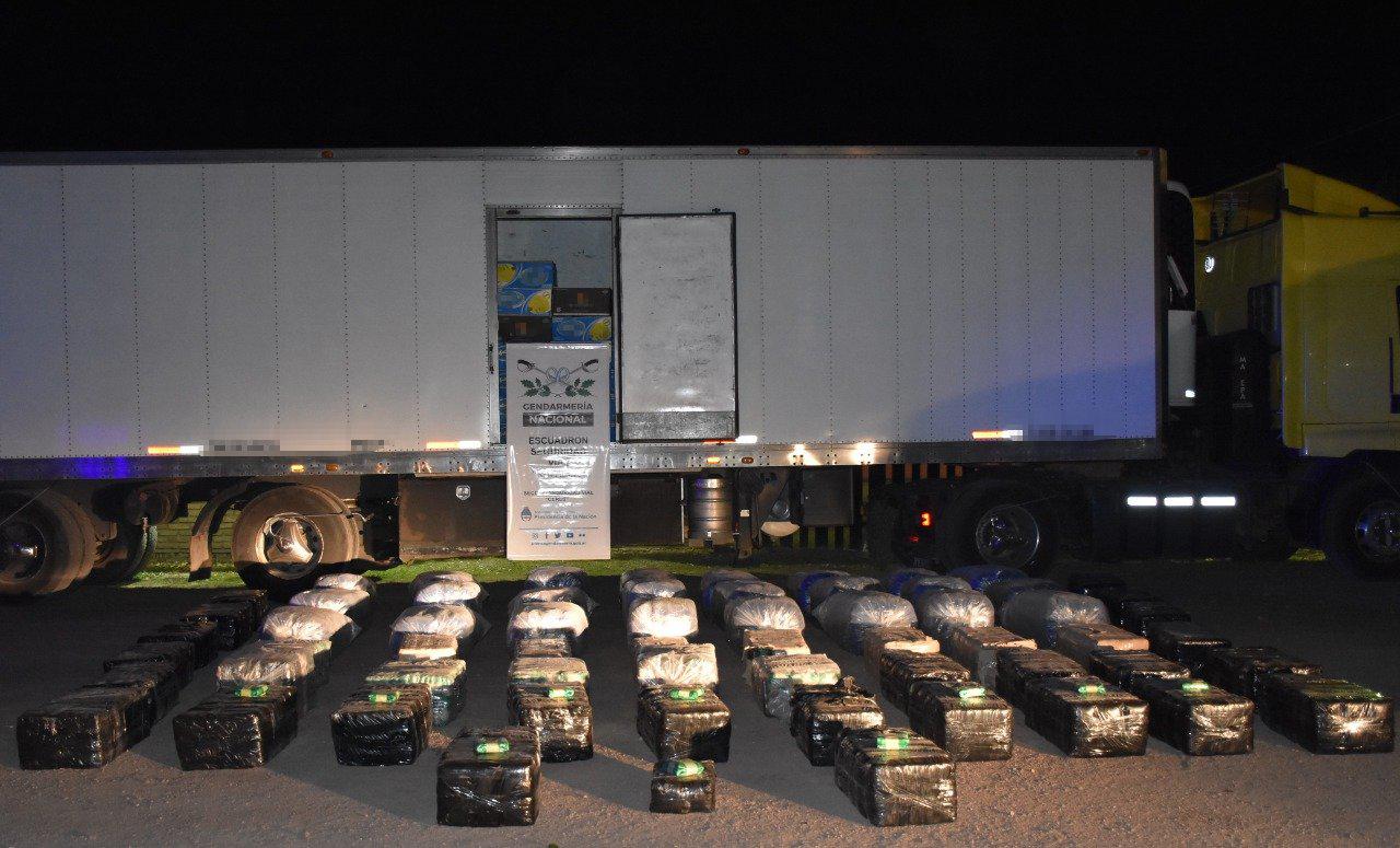 Ocultaba más de una tonelada de hojas de coca entre cargamento de bananas (3)