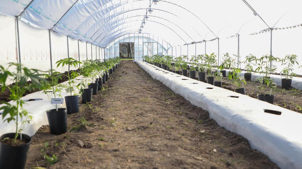 2022-07-12NID_275270O_3