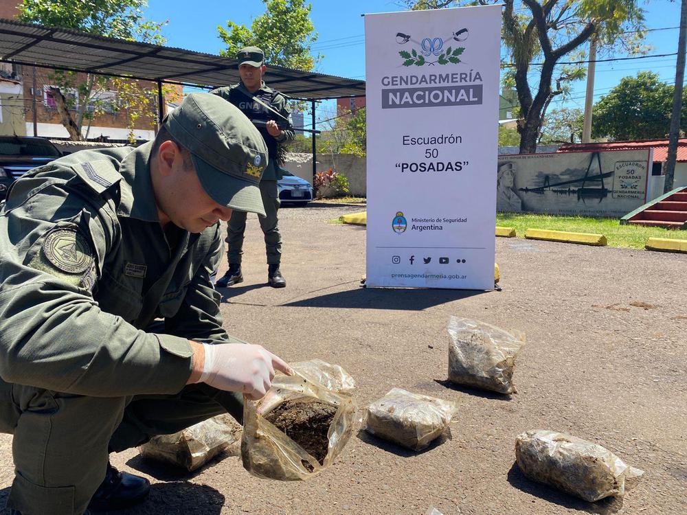 Gendarmes secuestran más de 9 kilos y 13 plantas de marihuana en dos procedimientos (3)