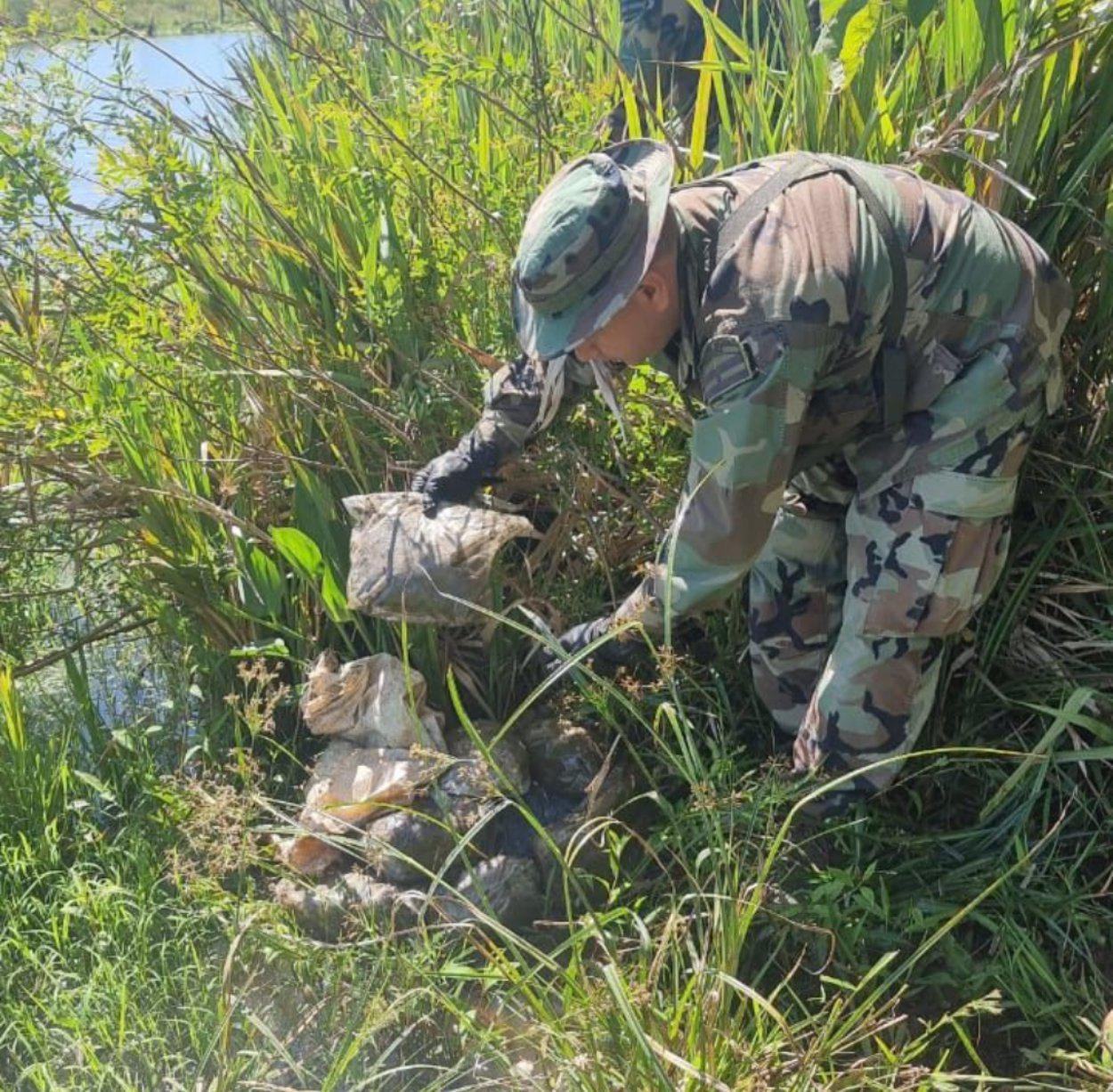 Gendarmes secuestran más de 9 kilos y 13 plantas de marihuana en dos procedimientos (1)