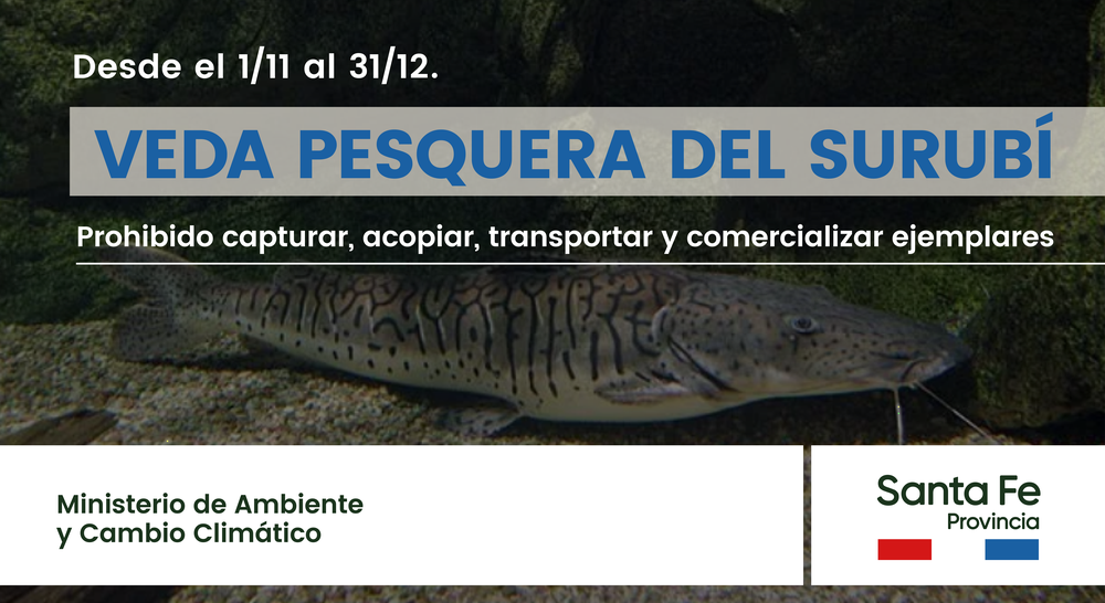 2022-11-01NID_276417O_1