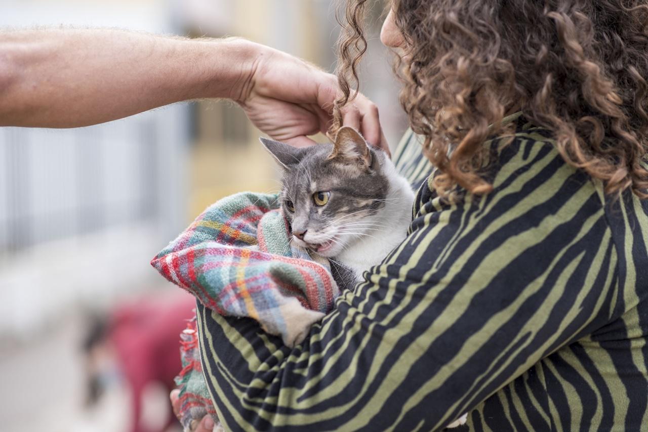 vacunacionantirrabica3