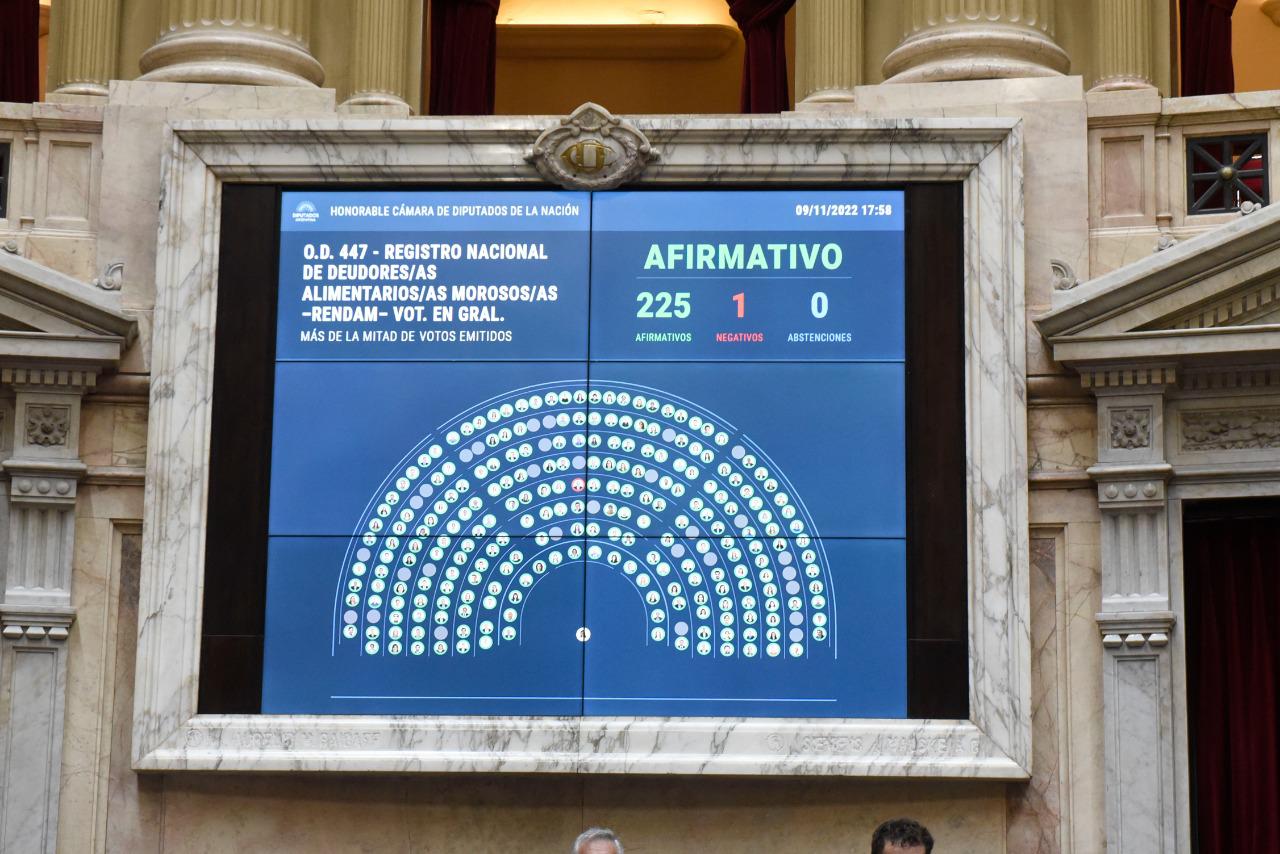 deudores alimentarios