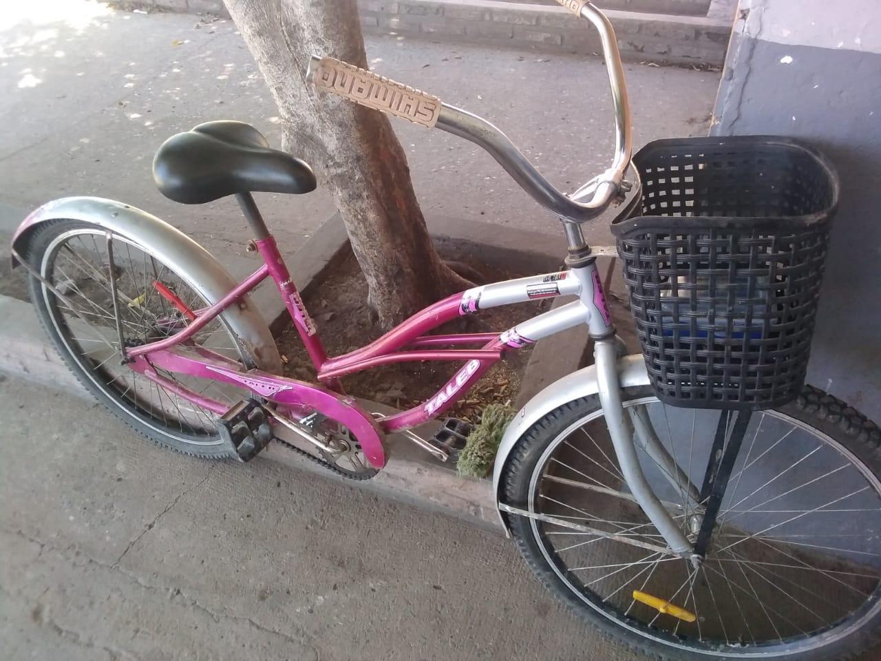 WhatsApp Image 2022-12-13 at 17.04.55