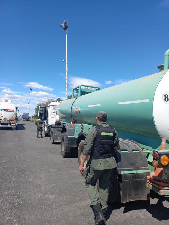 Conductor de un camión  trasladaba precursores químicos sin habilitación (1)