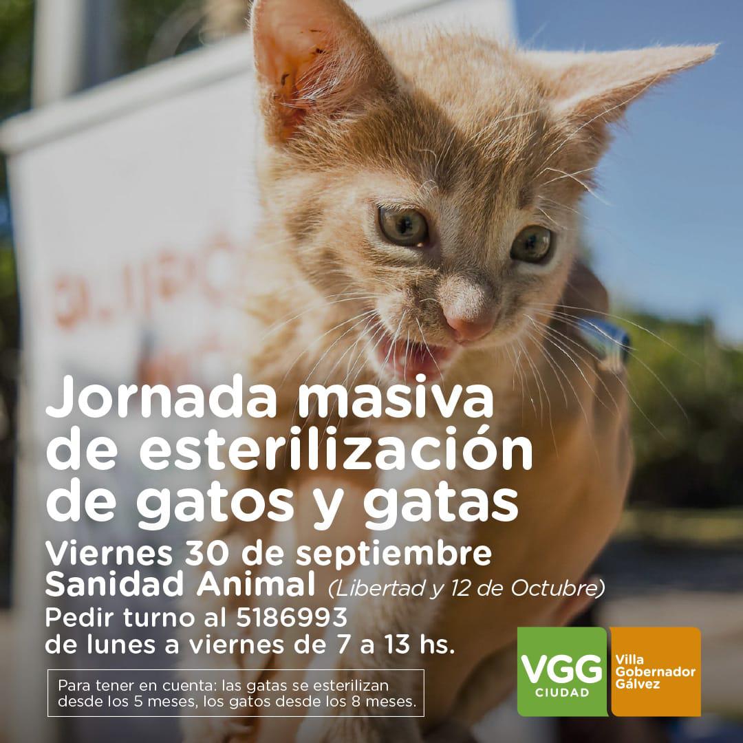 WhatsApp Image 2022-09-23 at 08.14.03