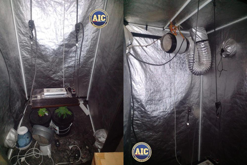 InShot_20230521_132119633