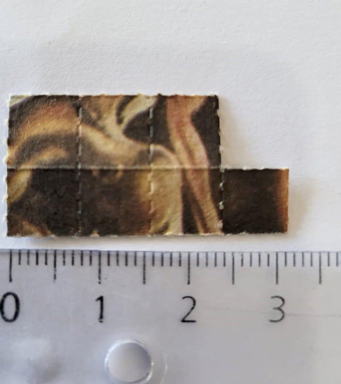 WhatsApp Image 2023-03-30 at 12.10.33