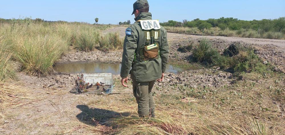 WhatsApp Image 2022-10-06 at 16.22.41 (1)