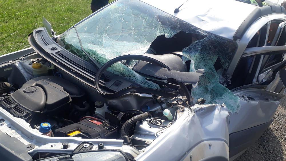 WhatsApp Image 2022-01-23 at 11.10.25 (1)