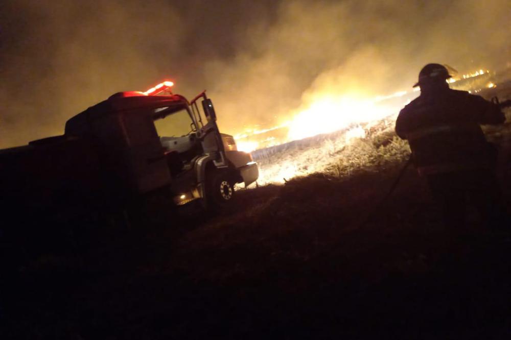 WhatsApp Image 2022-08-23 at 8.05.55 AM (1)