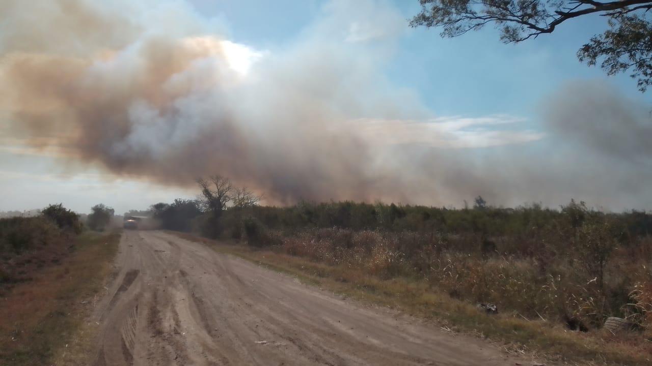 WhatsApp Image 2022-02-23 at 21.24.28