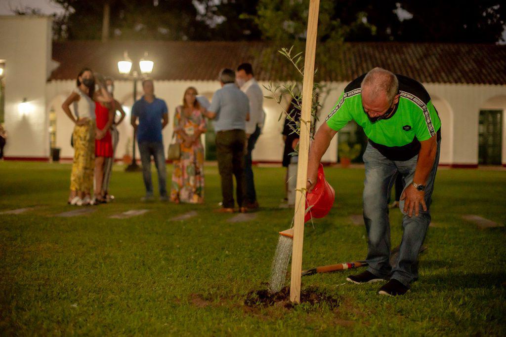 olivo_plantacion4-1024x683