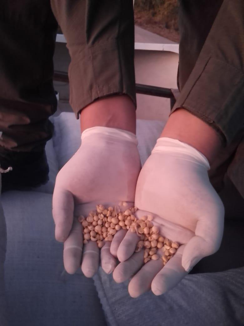 45 toneladas soja Aguaray