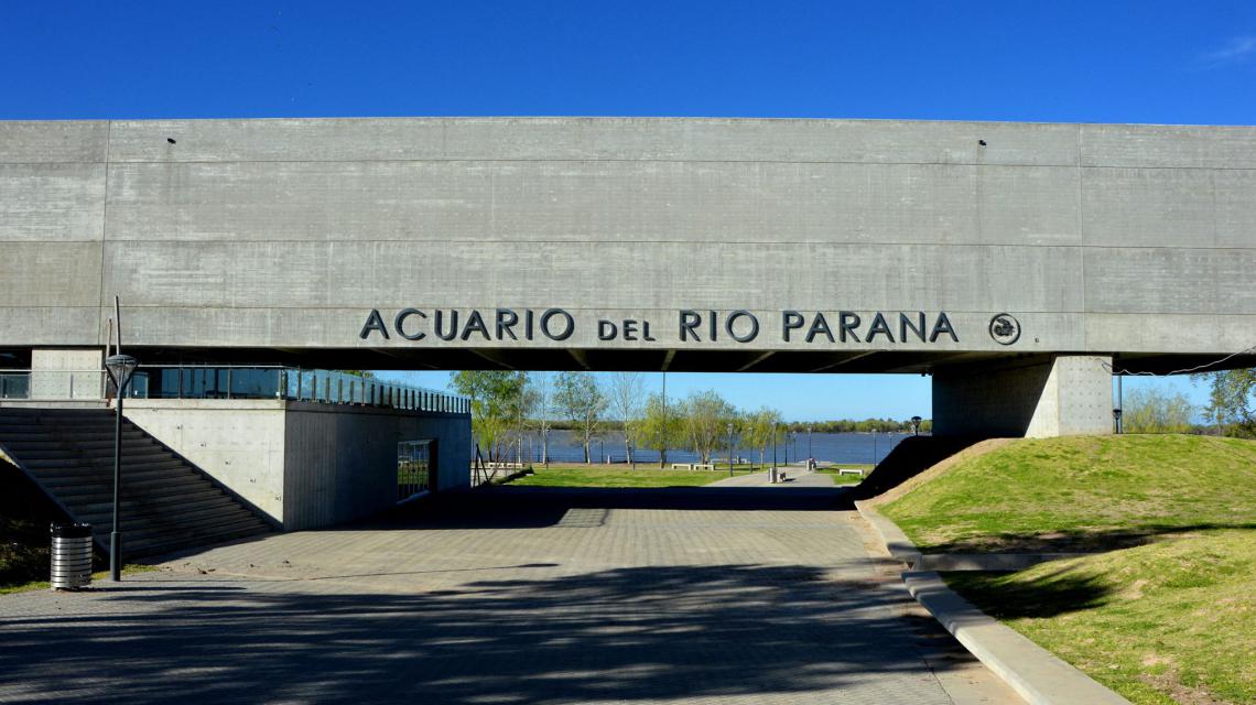 ACUARIO