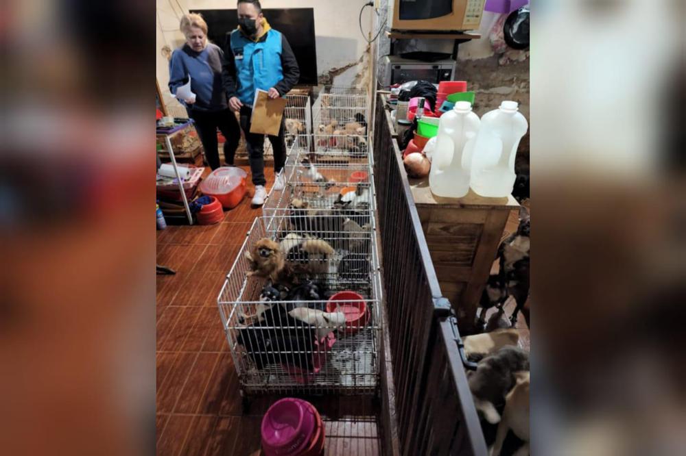 WhatsApp Image 2022-07-06 at 7.08.30 PM