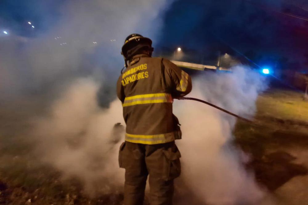 WhatsApp Image 2022-03-14 at 08.34.58