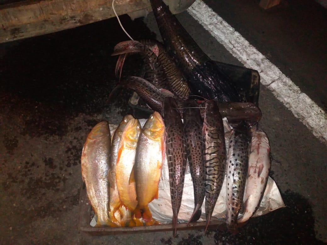Incautan 227 kilos de pescados sin documentación (2)