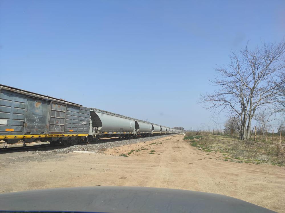 WhatsApp Image 2021-08-20 at 8.42.35 AM (1)