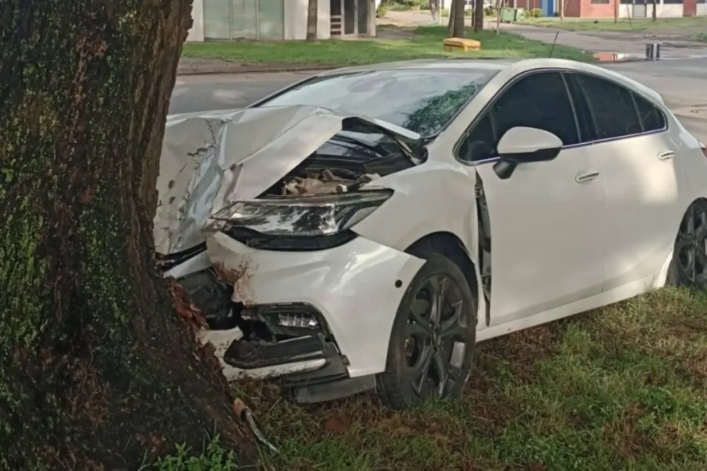 WhatsApp Image 2026-02-16 at 09.39.30