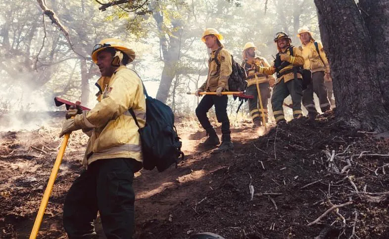 WhatsApp Image 2026-02-06 at 15.12.14 (1)