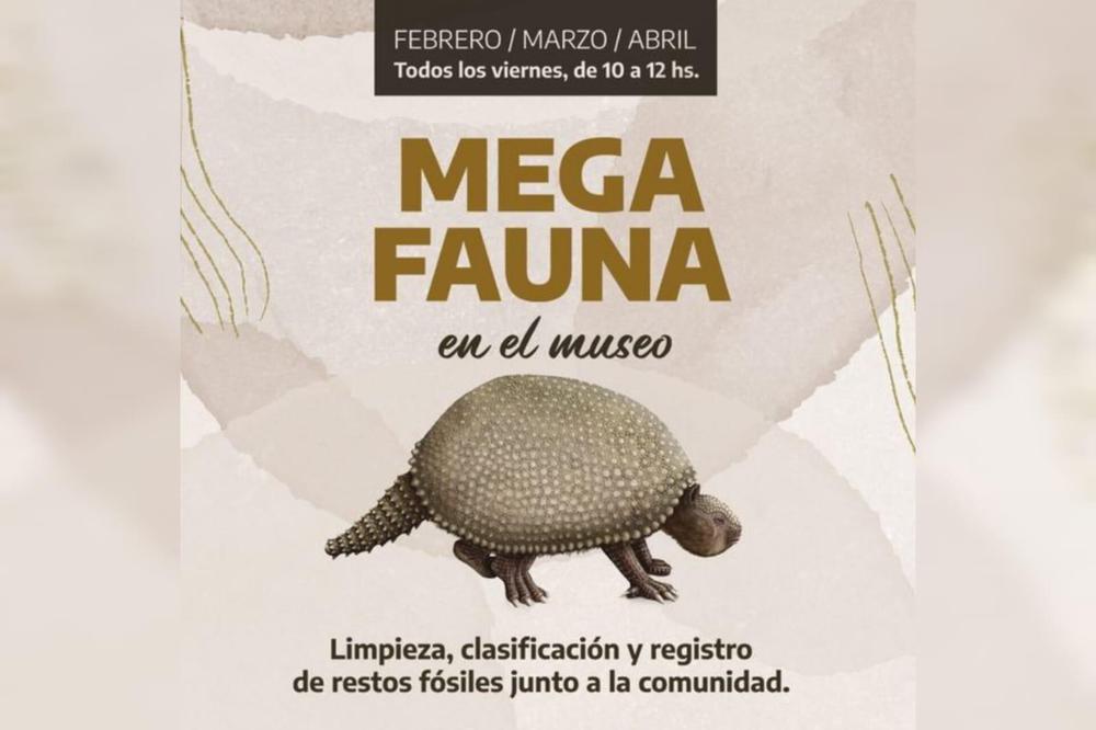 mega fauna Puerto