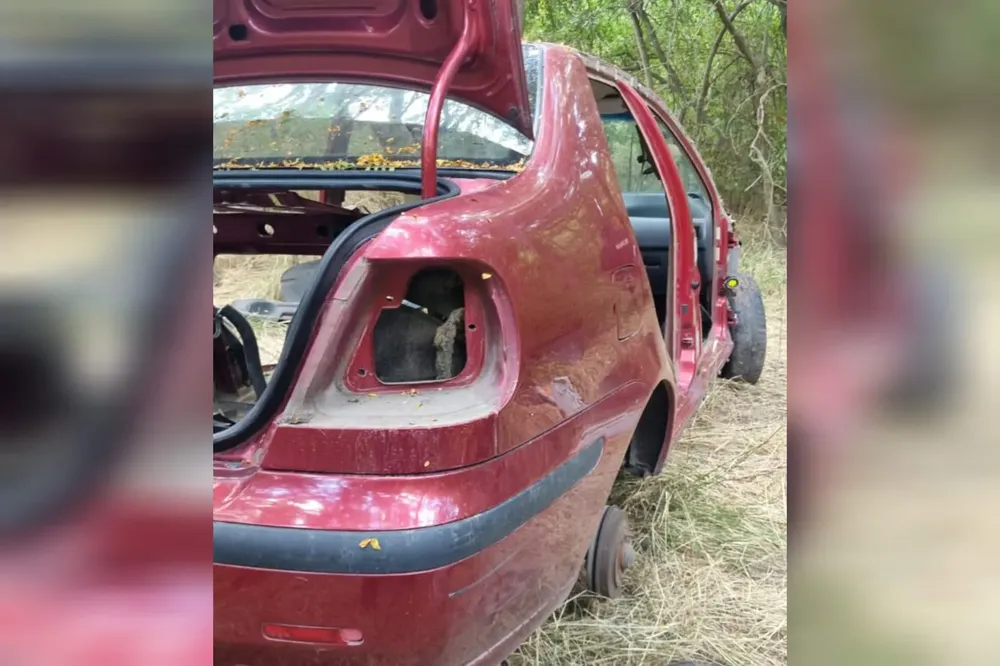 WhatsApp Image 2026-02-02 at 11.40.36