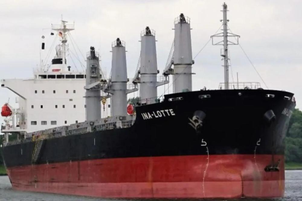 InShot_20240820_164404937