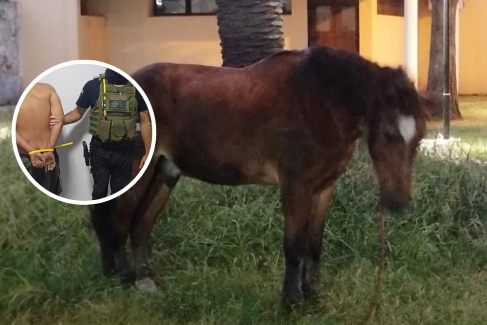 WhatsApp Image 2024-01-31 at 20.12.34