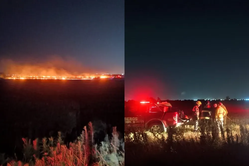 Incendio de pastizales en Ricardone 