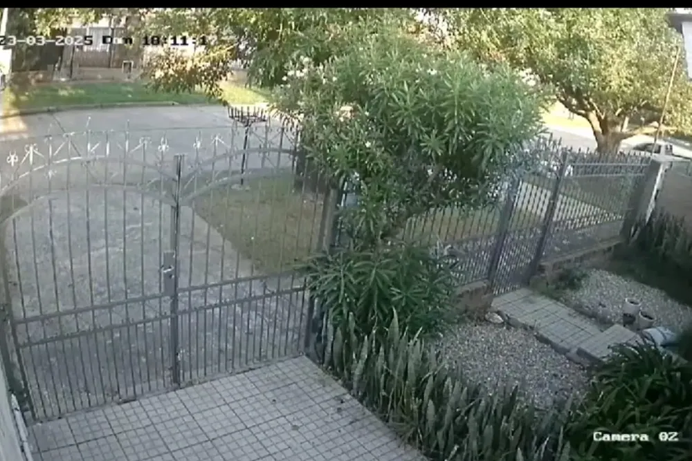 WhatsApp Image 2025-03-24 at 11.17.45