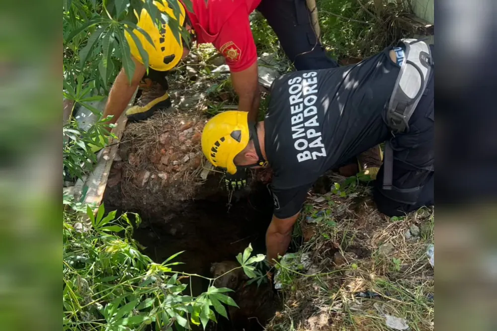 WhatsApp Image 2026-03-28 at 15.09.41