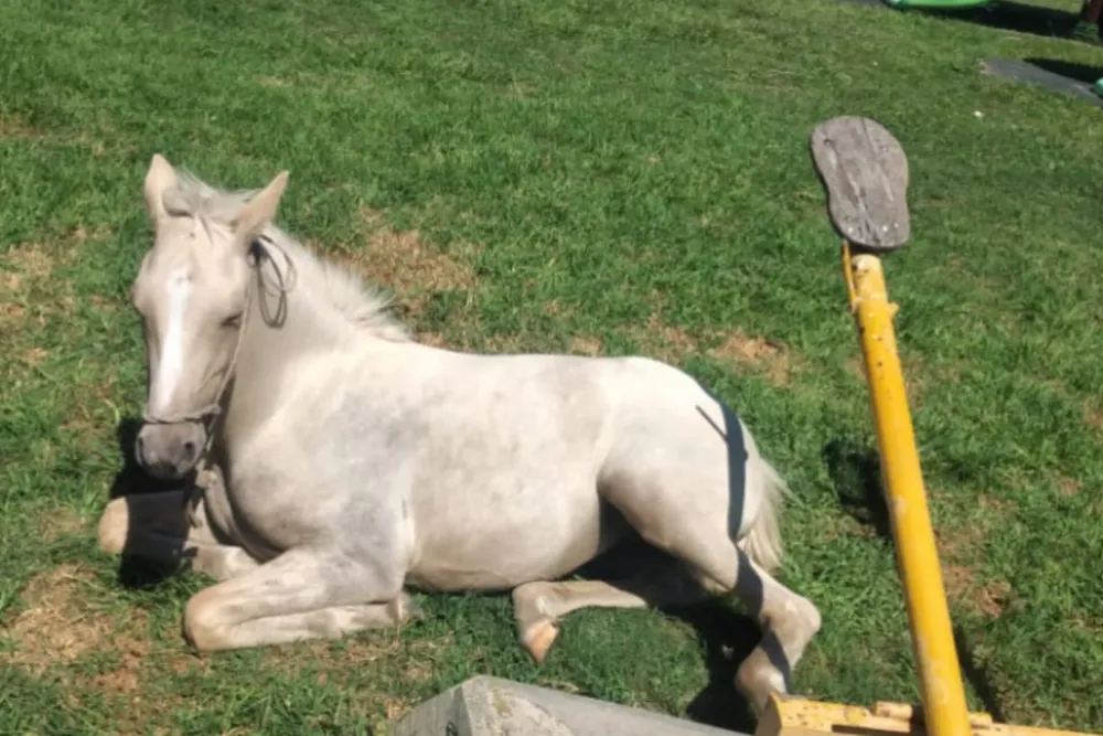 WhatsApp Image 2026-03-15 at 19.20.36